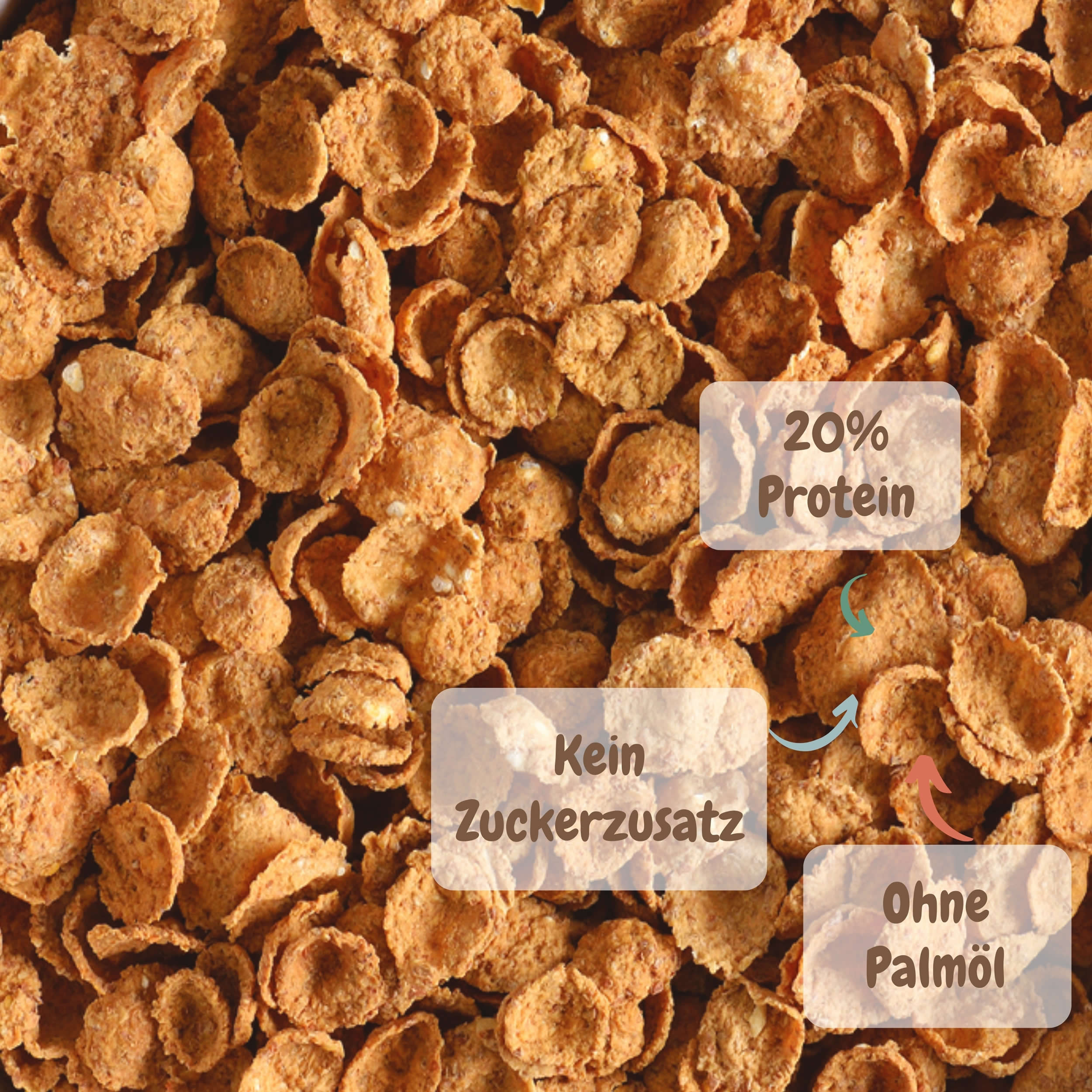 Vollkorn-Bran-Flakes ohne Zuckerzusatz, 20 % Protein – Violanta, 6 × 370 g (2,22 kg)